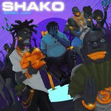 [MUSIC] BARRY JHAY – SHAKO