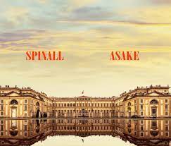 [MUSIC] DJ SPINALL FT ASAKE – PALAZZO