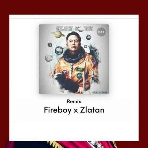 [MUSIC] SHALLIPOPI FT FIREBOY DML & ZLATAN – ELON MUSK (REMIX)