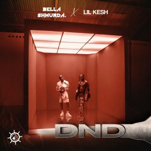 [MUSIC] BELLA SHMURDA FT LIL KESH – DND