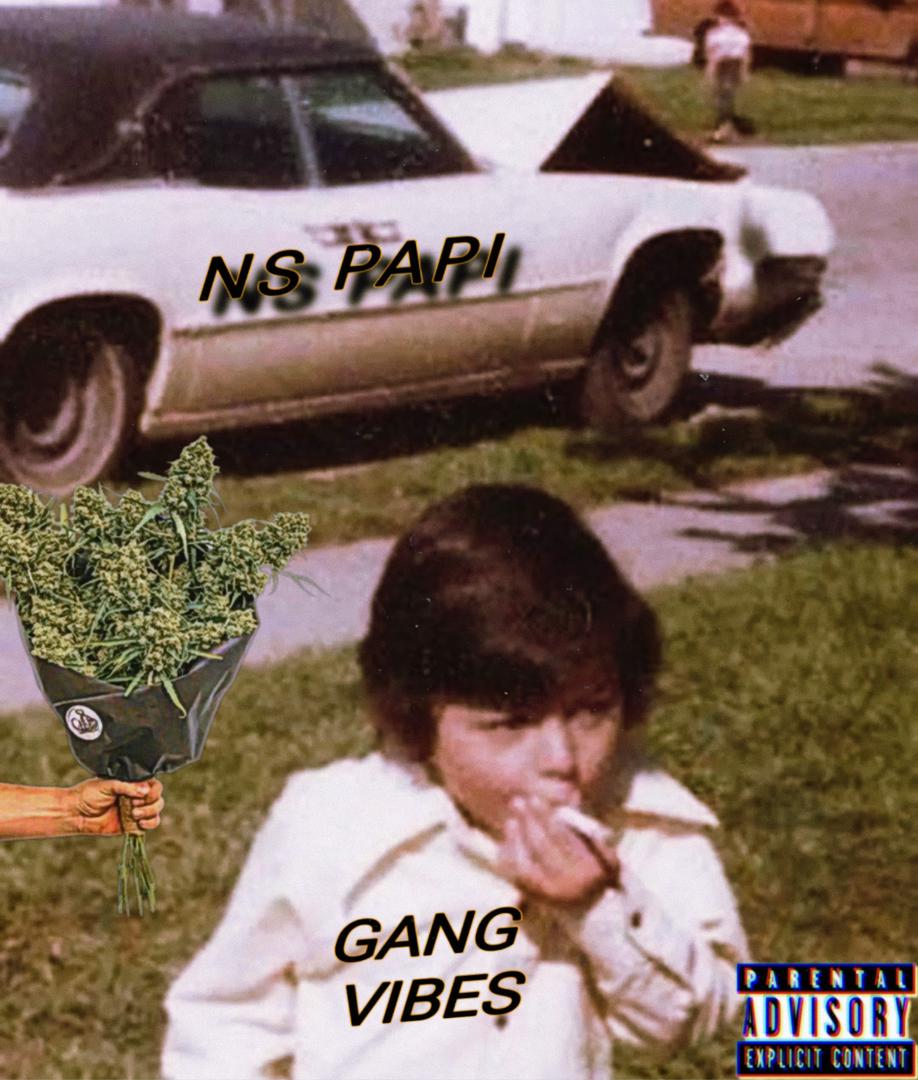 [MUSIC] NS PAPI – GANG VIBES