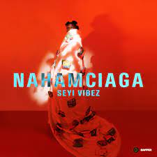 [FULL EP] SEYI VIBEZ – NAHAMCIAGA